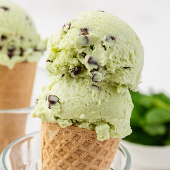 Mint Chocolate Chip Ice Cream