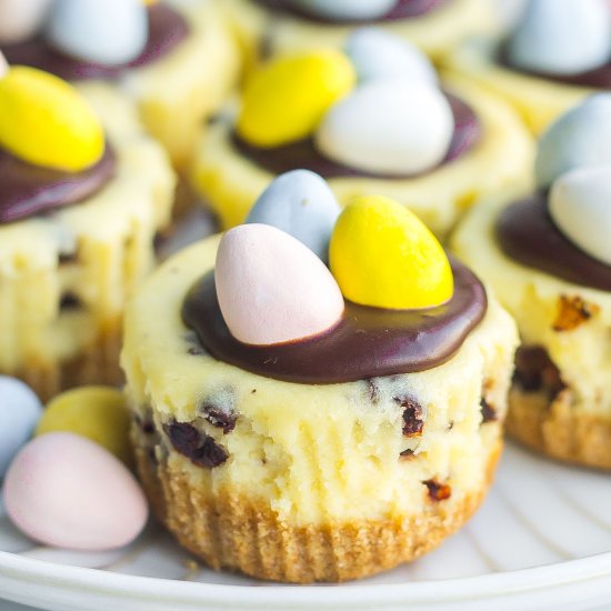 Easter Cheesecake Bites