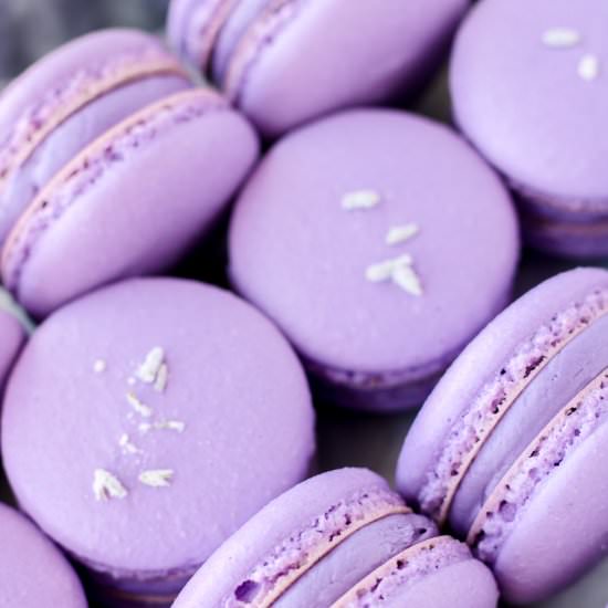 Lavender & Blackberry Macarons