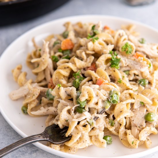 Chicken Pot Pie Noodles