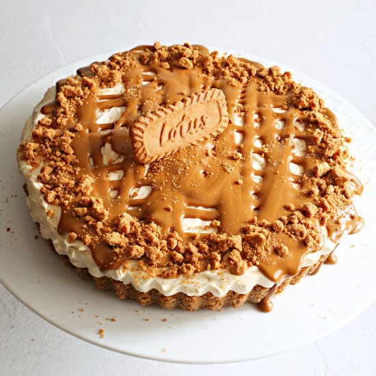 No Bake Biscoff Cheesecake