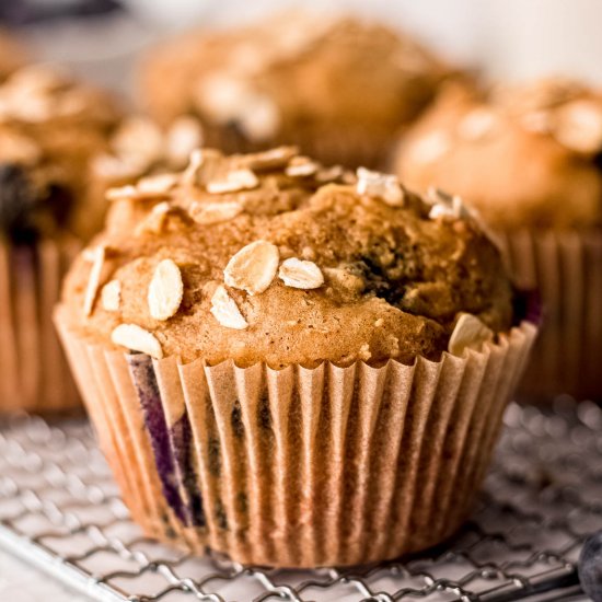 Protein Blueberry Muffins