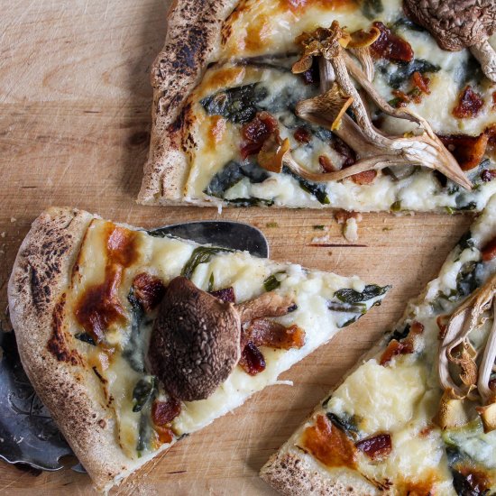 Wild Mushroom Pizza