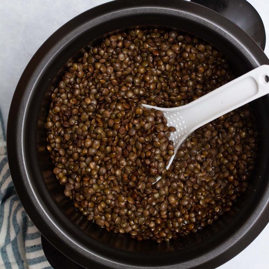 Rice Cooker Lentils