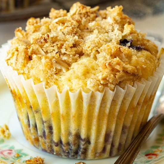 Blueberry Sour Cream Muffins