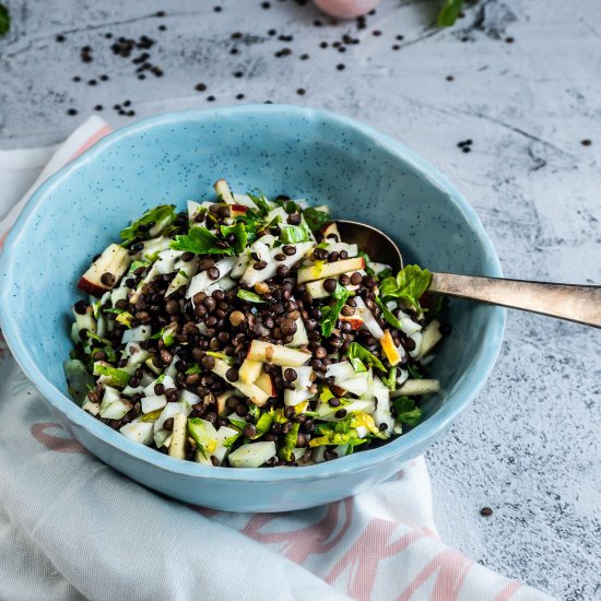 Lentil Salad with Appple and Fennel