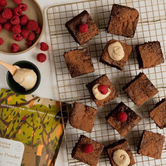 Vegan Chocolate Brownies