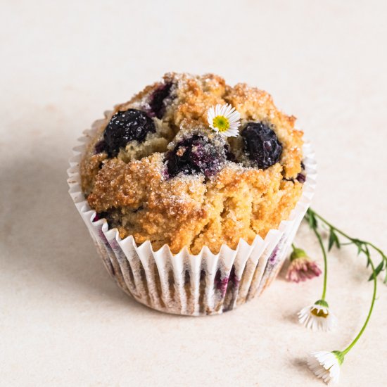 Lemon Blueberry Gluten Free Muffins