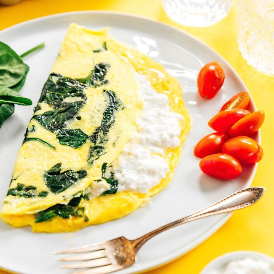 Cottage Cheese Omelette