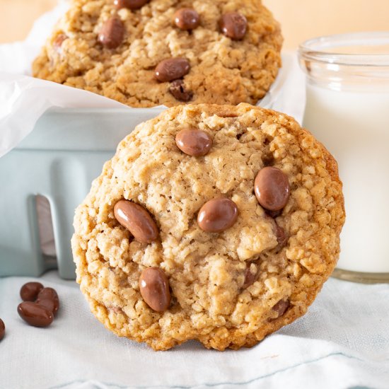 Oatmeal Raisinet Cookies