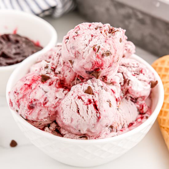 Black Raspberry Ice Cream