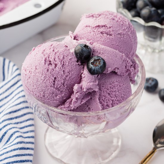 Blueberry Ice Cream