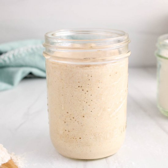 Sourdough Starter