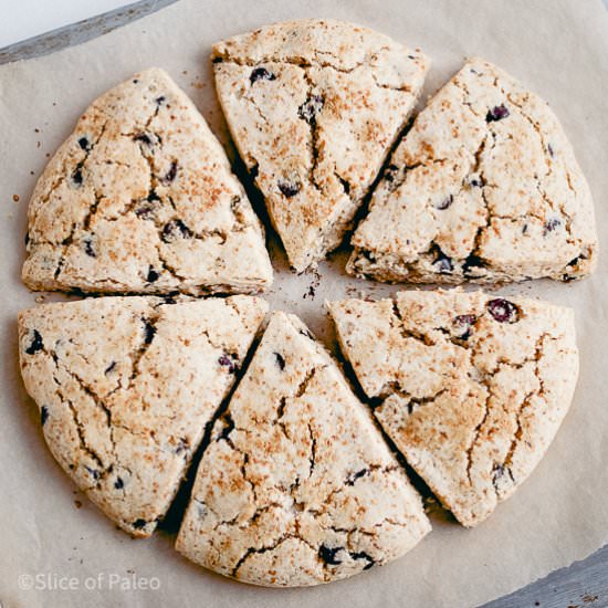 Paleo Chocolate Chip Scones