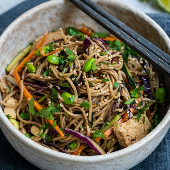 Vegan Soba Noodle Salad