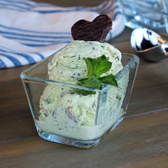 Mint Choc Chip Ice Cream