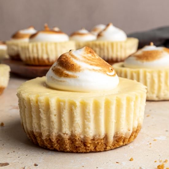 mini lemon meringue cheesecakes