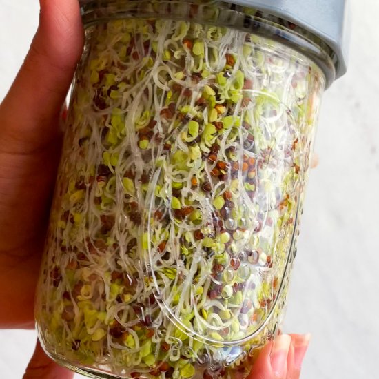 Broccoli Sprouts (Sulforaphane)