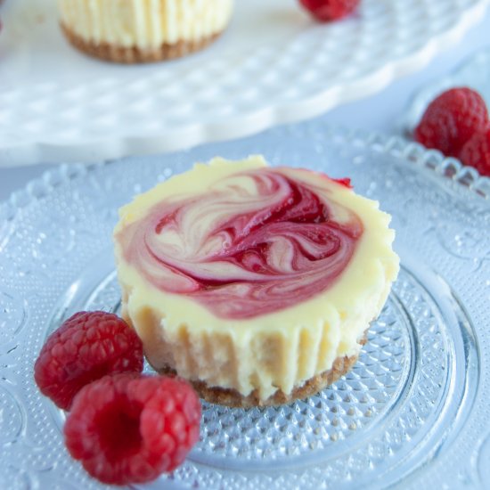 White Choc & Raspberry Cheesecakes