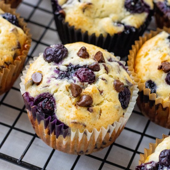 Blueberry Chocolate Chip Muffins