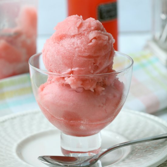 Rhubarb Sorbet