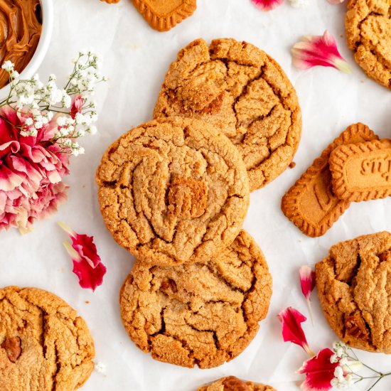 Easy Biscoff Butter Cookies