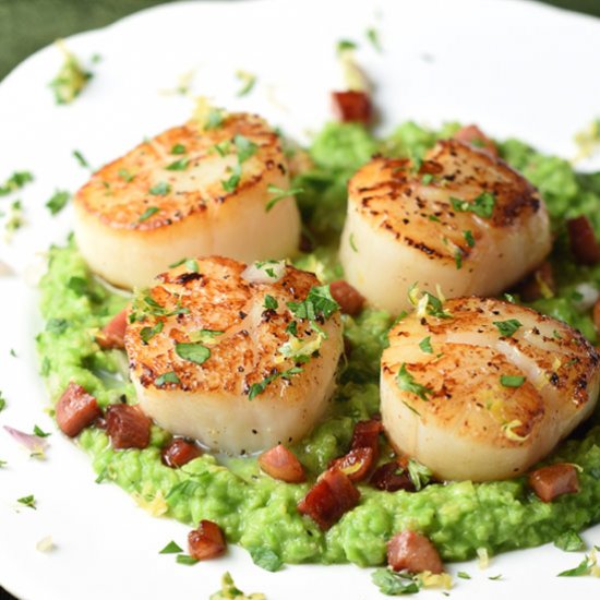 Seared Scallops with Pancetta