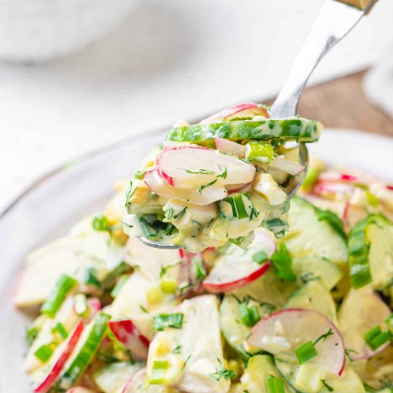 Creamy Cucumber and Radish Salad