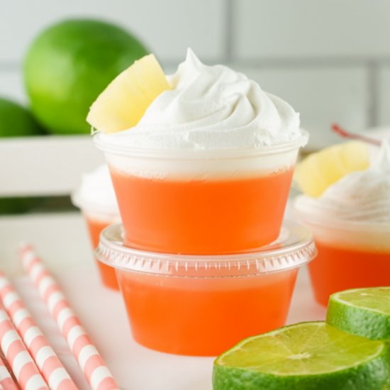 Rum Punch Jello Shots