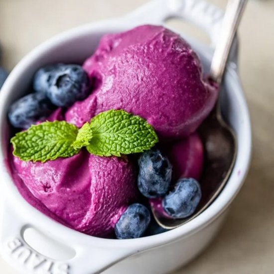 Blueberry Frozen Yogurt