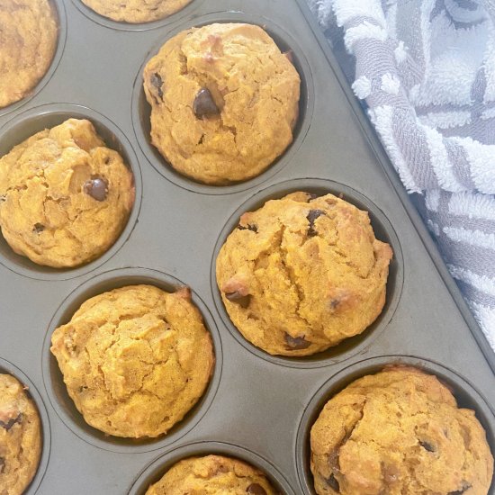 Pumpkin Chocolate Chip Muffins