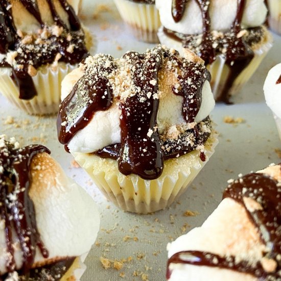 Mini S’mores Cheesecakes