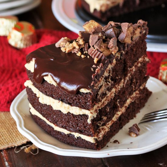 Peanut Butter Chocolate Cake