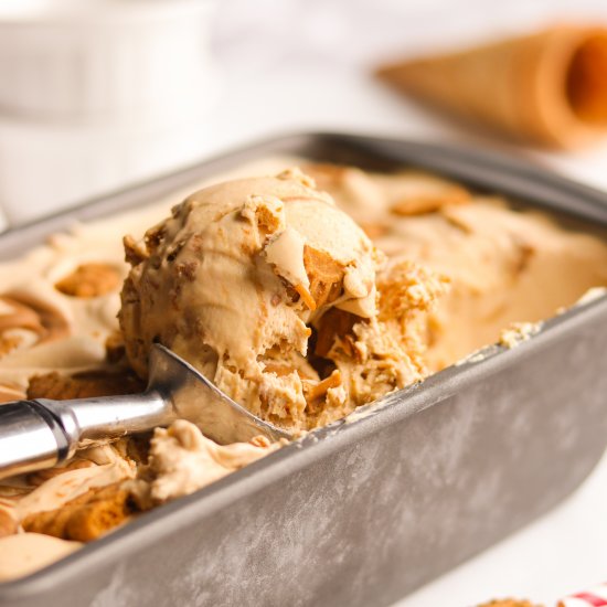 Cookie Butter Ice Cream