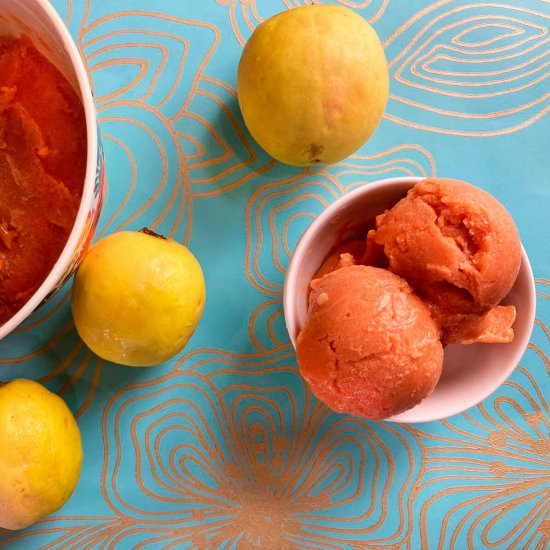 Homemade guava sorbet or sherbet