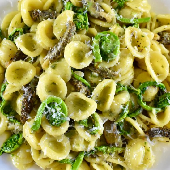 Morel and Fiddlehead Pasta