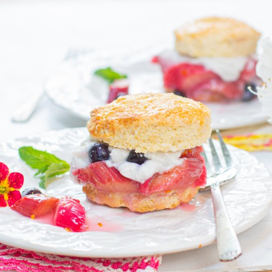 Rhubarb shortcakes- whipped cream