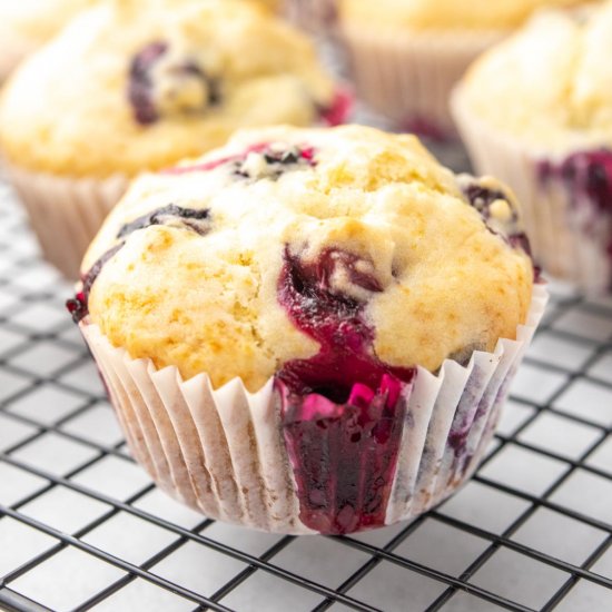 Easy Blueberry Muffins without Egg