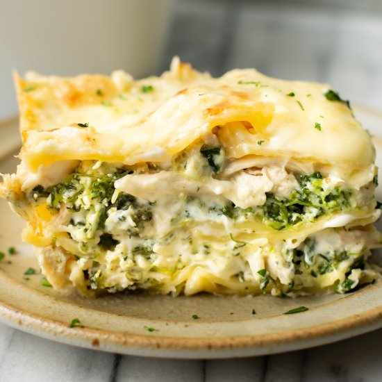 creamy chicken lasagna