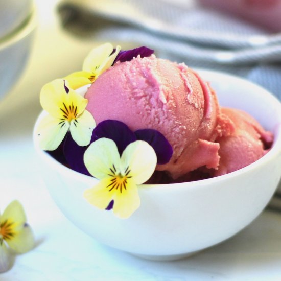 Pomegranate Coconut Sherbet