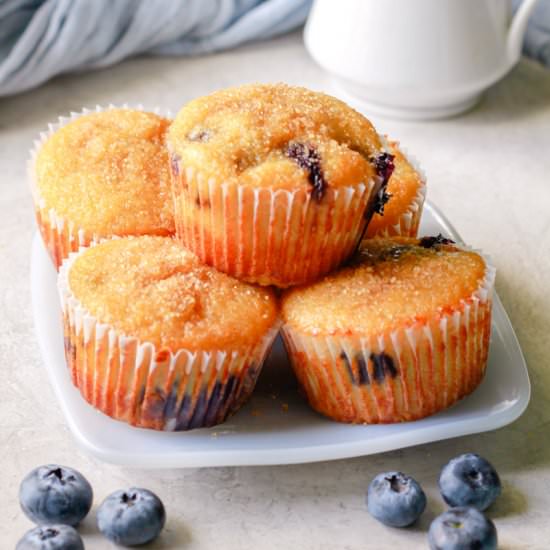 Collagen Blueberry Muffins