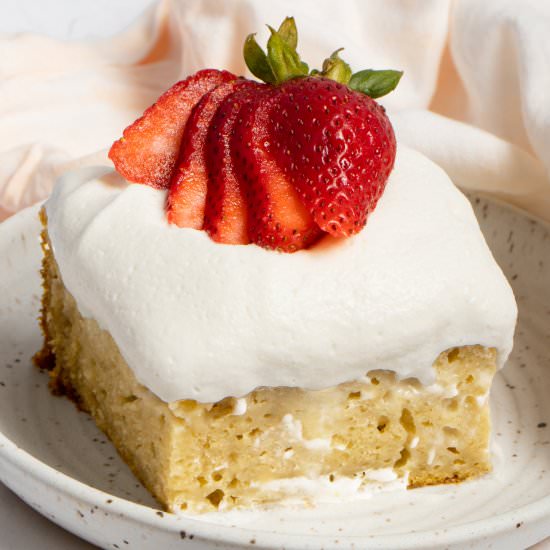 Vegan Tres Leches Cake