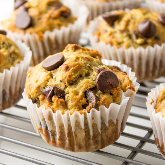 Banana Chocolate Chip Muffins