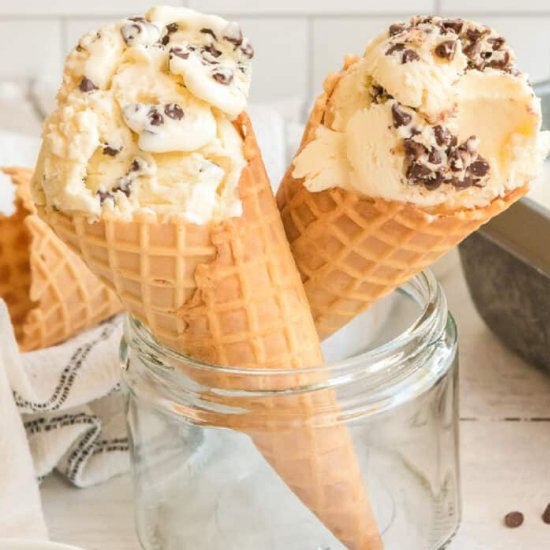 Vanilla Chocolate Chip Ice Cream