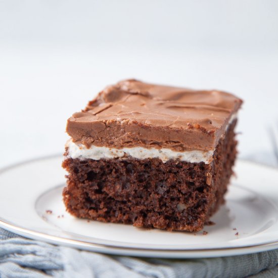 Mississippi Mud Cake