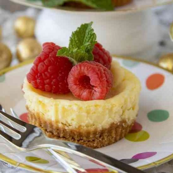 Mini New York Cheesecakes