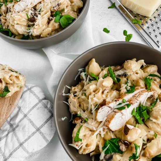 One Pot Pasta Alfredo