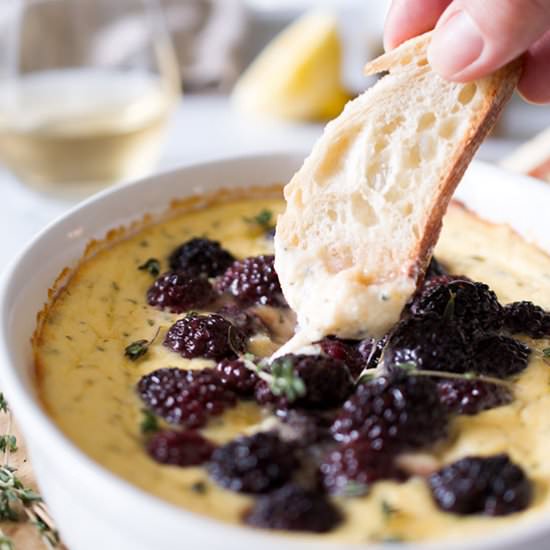 Baked Lemon Blackberry Ricotta Dip