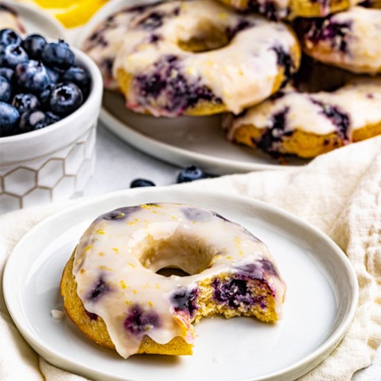 Blueberry cake donuts