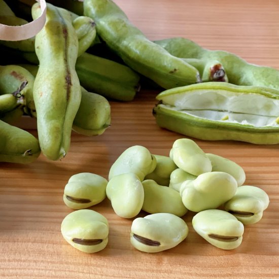 How to Cook Fava Beans